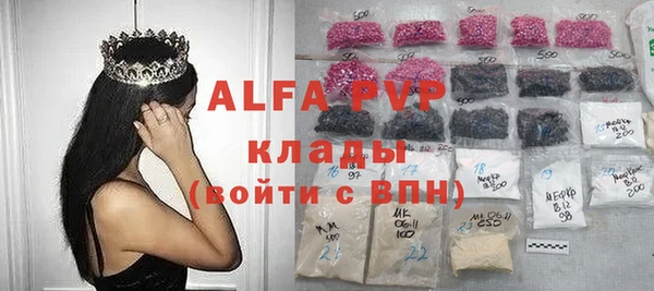 индика Алзамай
