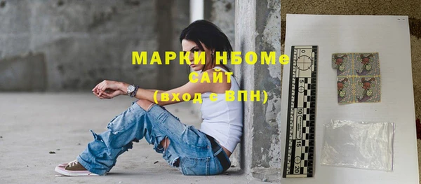 индика Алзамай
