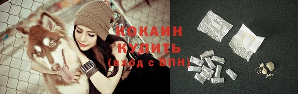 индика Алзамай
