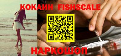 гидра Ставрополь