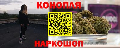 гидра Ставрополь