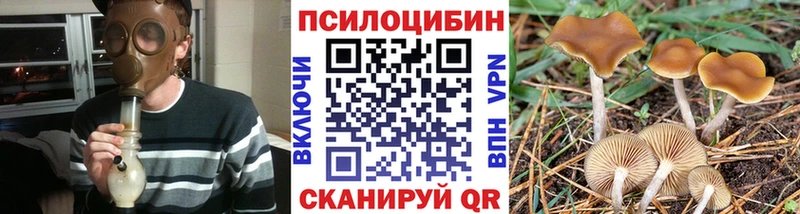 наркота  Скопин  omg рабочий сайт  Галлюциногенные грибы Magic Shrooms 