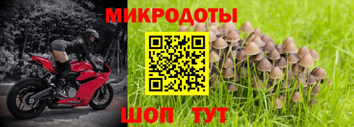 Скопин  Псилоцибиновые грибы ЛСД  Псилоцибиновые грибы GOLDEN TEACHER  Вход с VPN 
